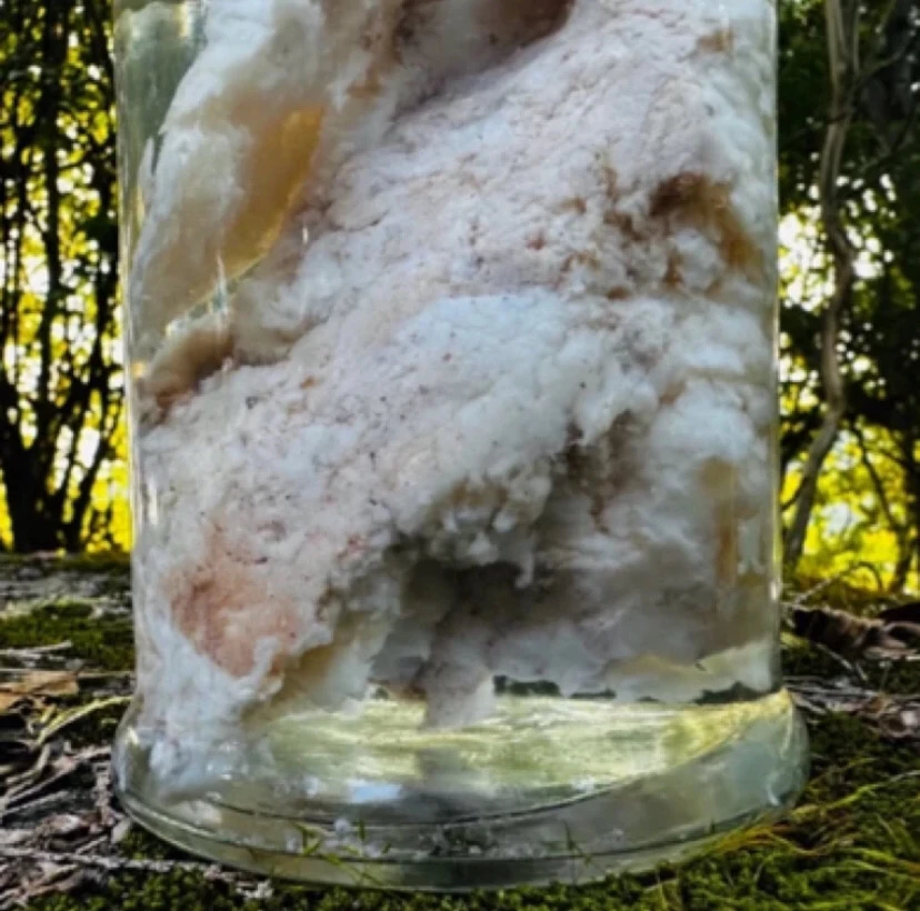 【土特产】石太岁 净含量50g-500g