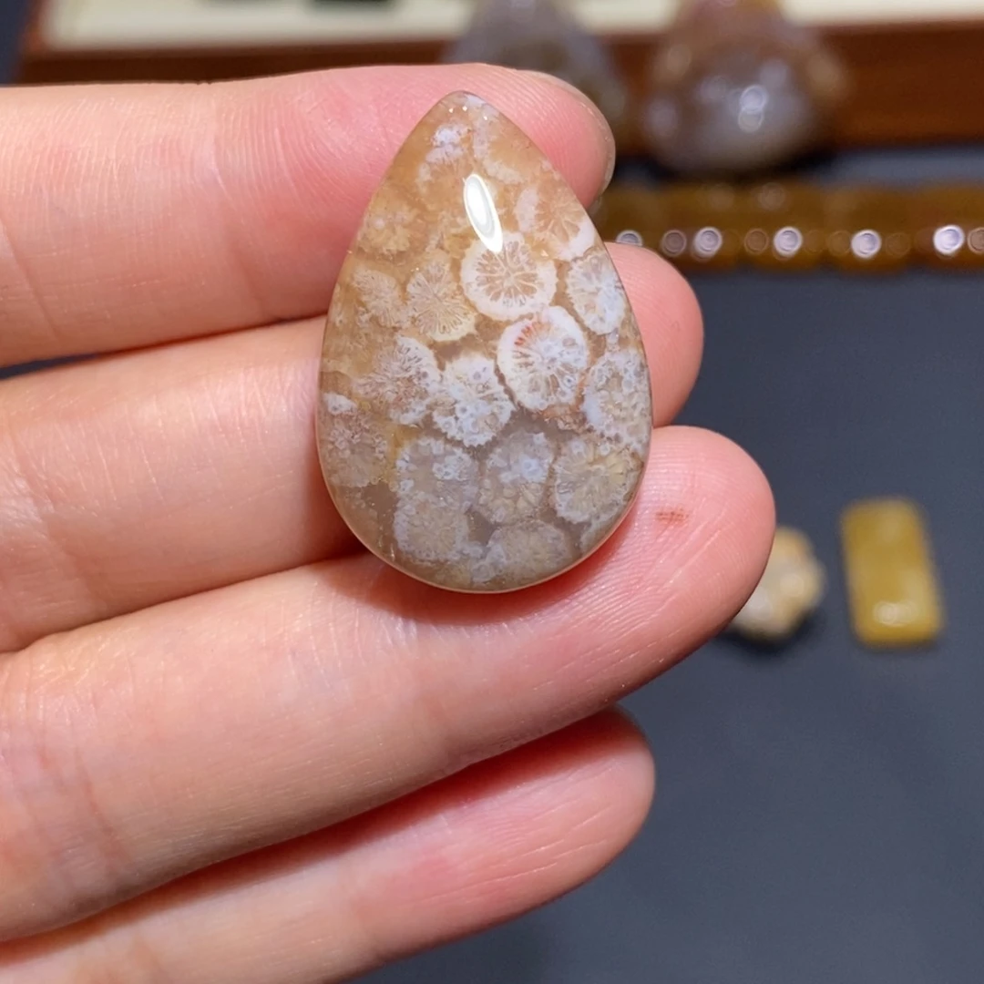 【闪购商品】未镶嵌珊瑚玉硅化玉