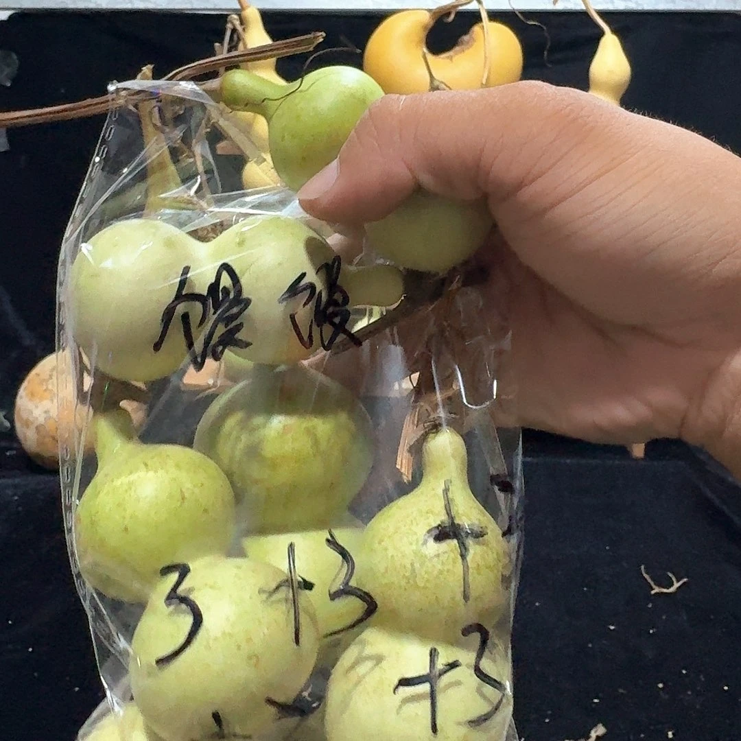 馒****头八宝定向定向定向