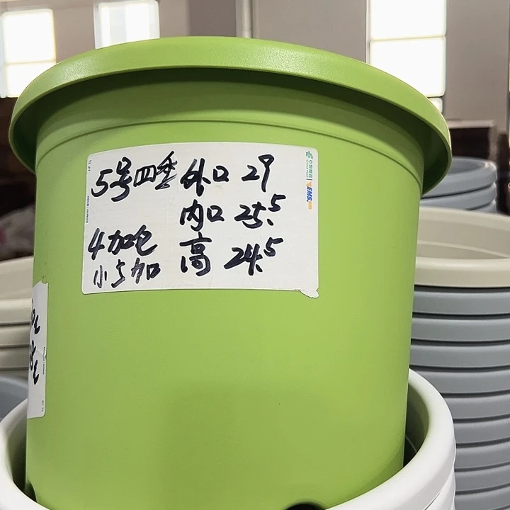 特价5号口29高24.5白色6只带托