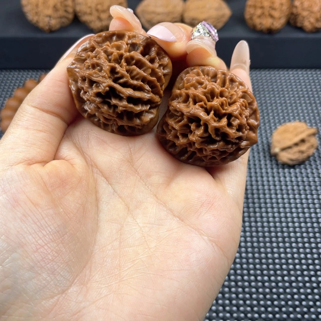 X秦岭神树秦闷小王