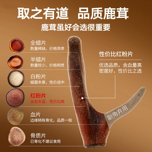 【正宗同仁堂品牌】北京同仁堂鹿茸粉片40g鹿茸片泡酒送礼礼盒装
