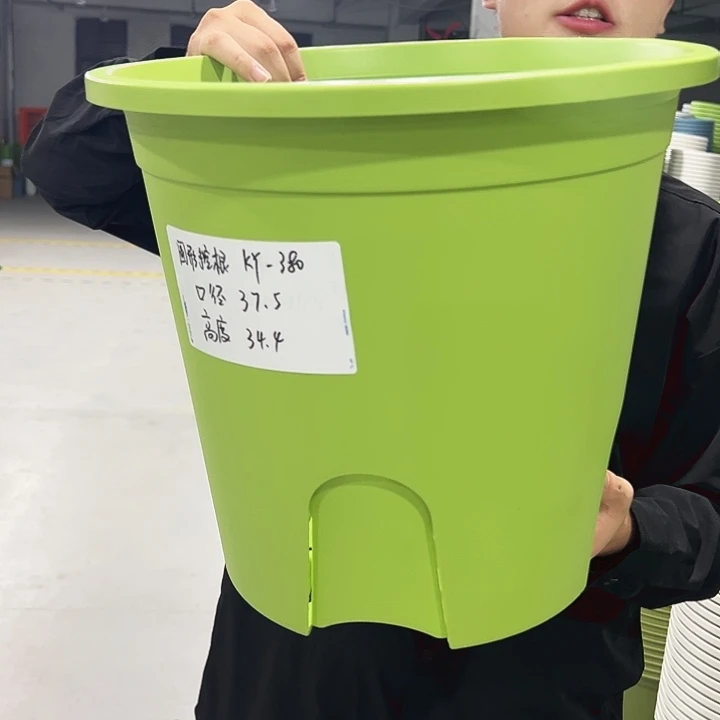 正品圆控口38高34果绿色3支无托