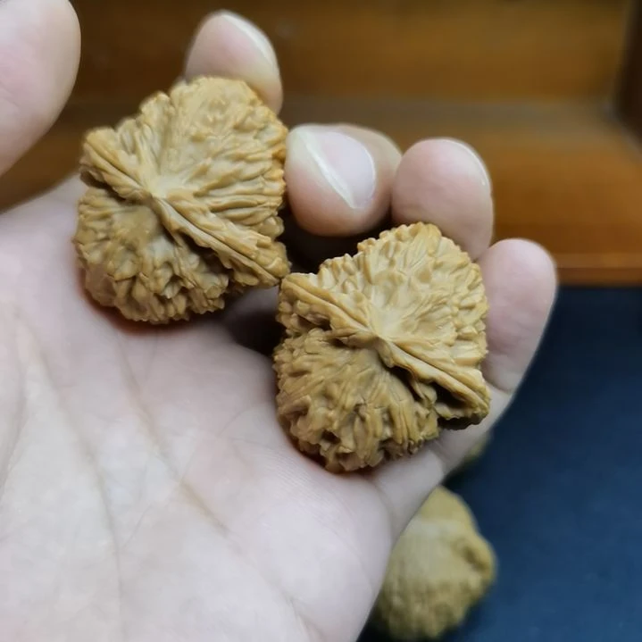 文玩核桃吊坠36白狮子