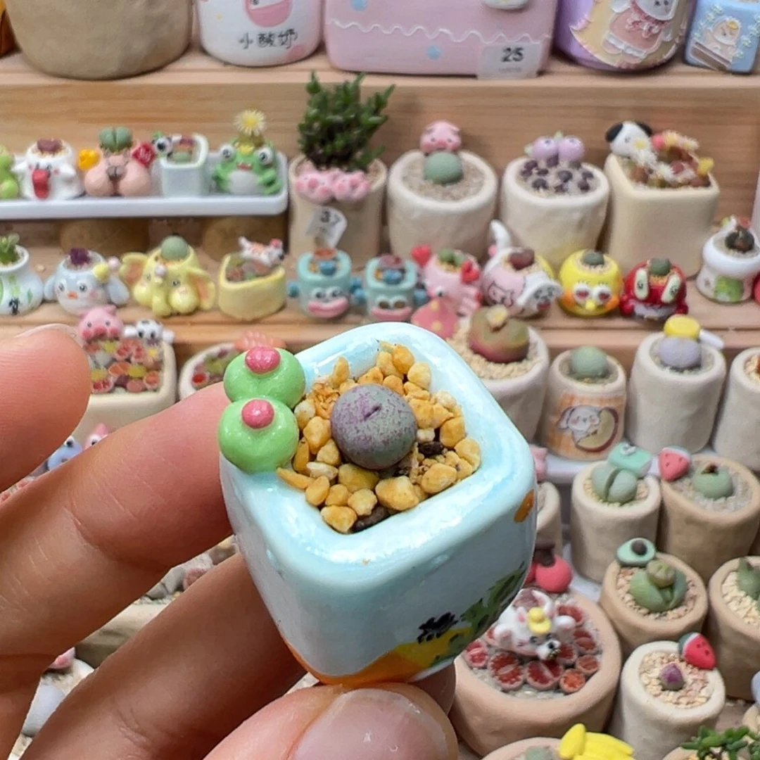 多肉植物68号拇指盆