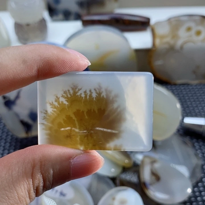 玛瑙/玉髓颈饰未镶嵌动****蛇