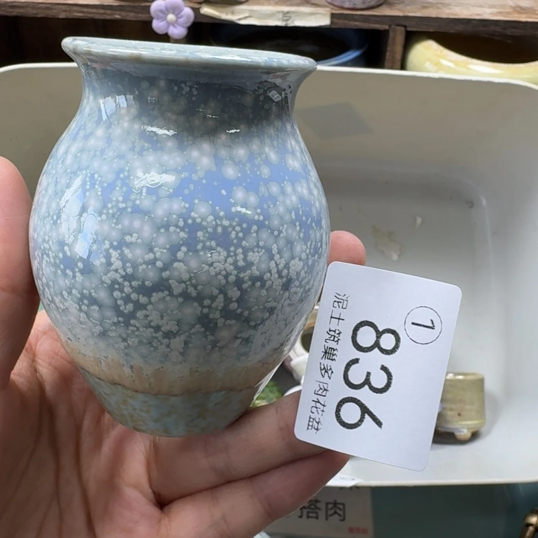 A***y陶瓷艺术设计与制作