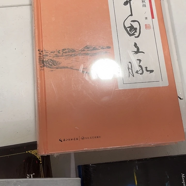 羡***⁷中国文脉八米一个