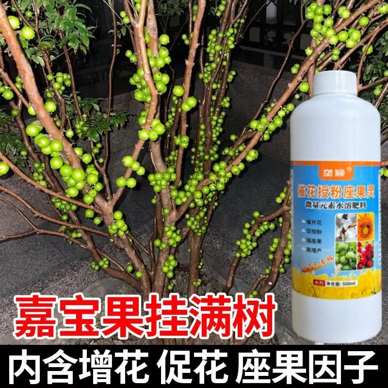 嘉宝果专用催花肥挂果催花坐果树葡萄果树珍宝果保花保果叶面肥
