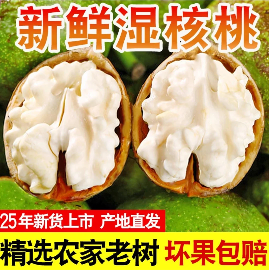 [去青皮湿核桃]大凉山新鲜湿核桃果园新鲜现摘香甜鲜嫩适合孕妇