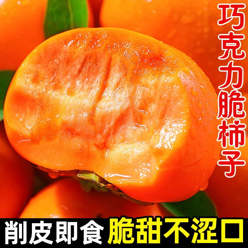 【冰糖心巧克力脆柿子】2025年阳丰脆甜柿子果园直发香甜多汁不涩口