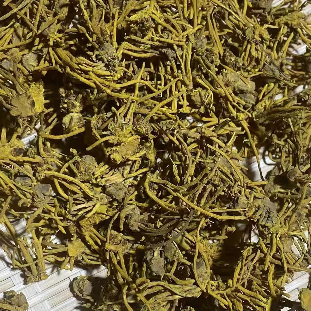 龙须石斛