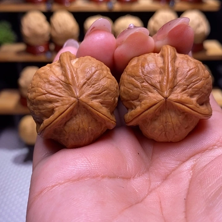 木质类云铁甲壳虫三棱33号33尺