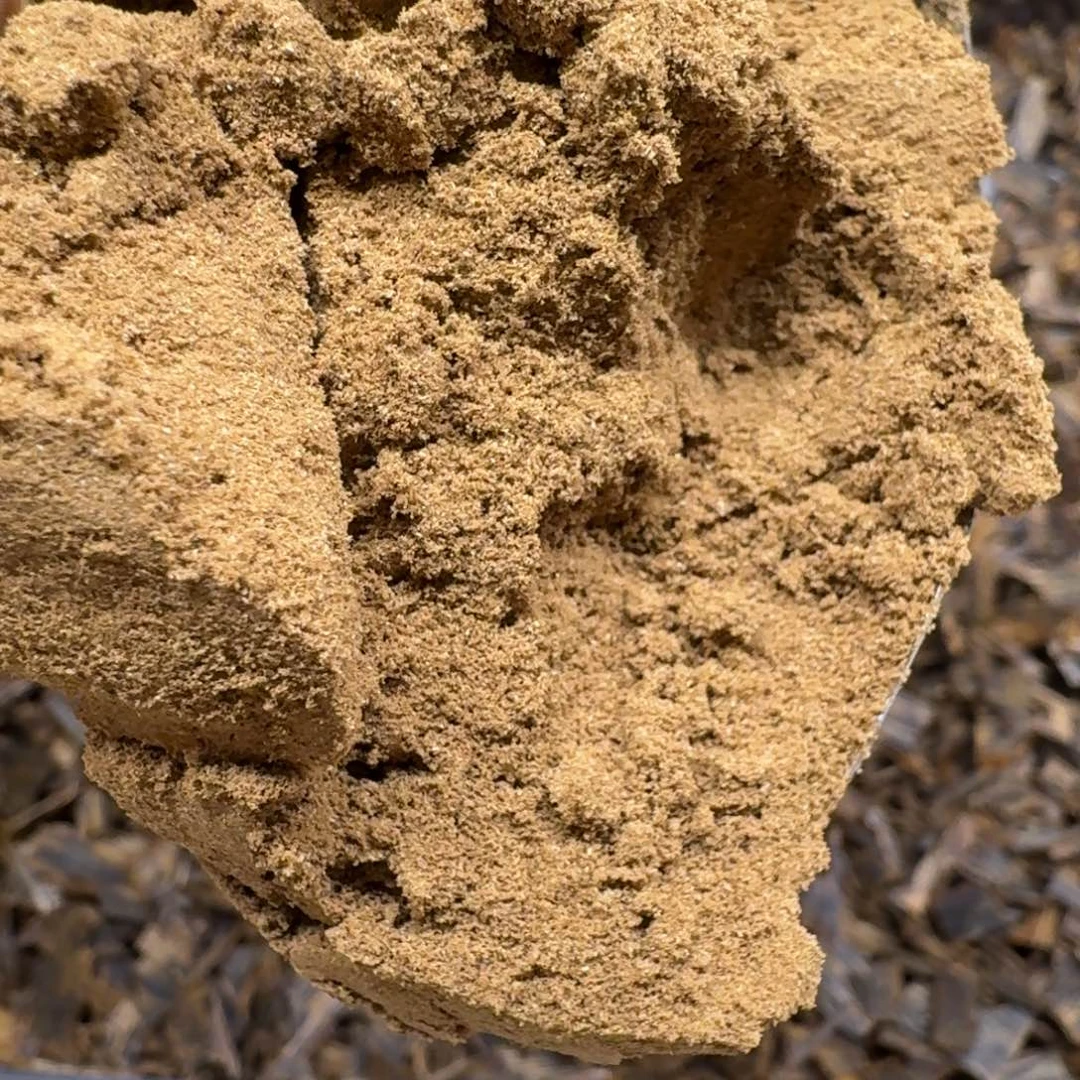 沉香碎屑沉香奇楠沉香白奇粉100克