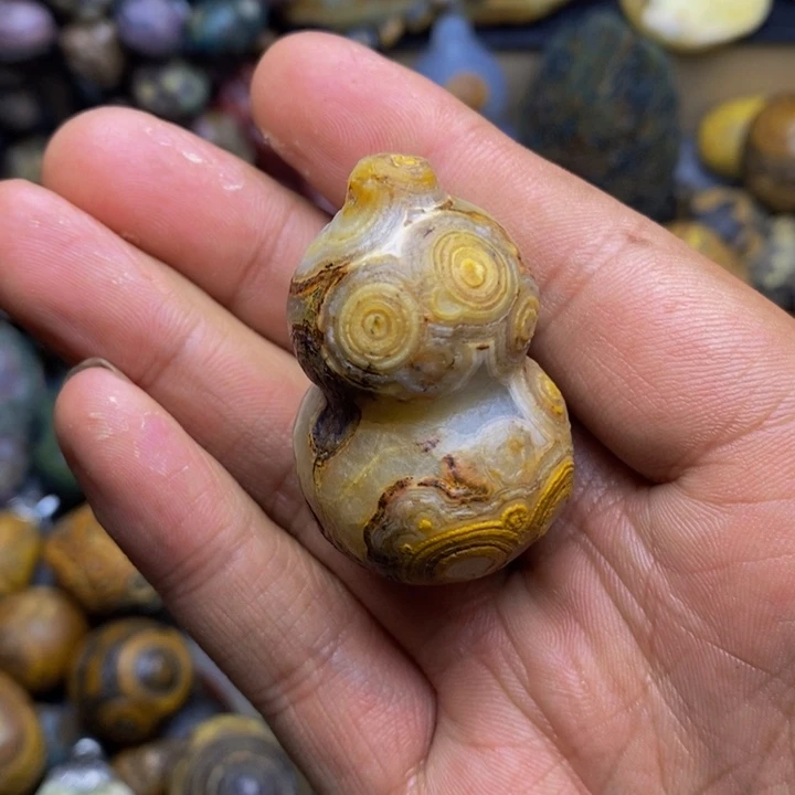 木v**i四子王旗的历史