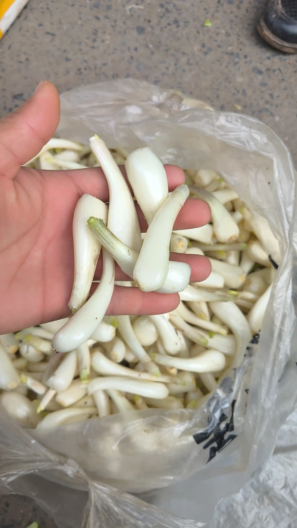 新鲜现挖荞头藠头农家种植小葱头小蒜头当季蔬菜