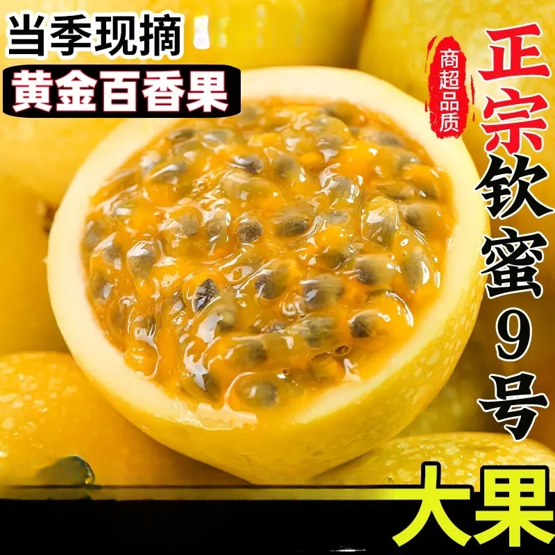 【大乐鲜果】广西百香果正宗黄金果钦蜜9号产地直发当季新鲜水果