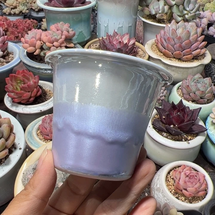 特价花盆 满50发货 内口6