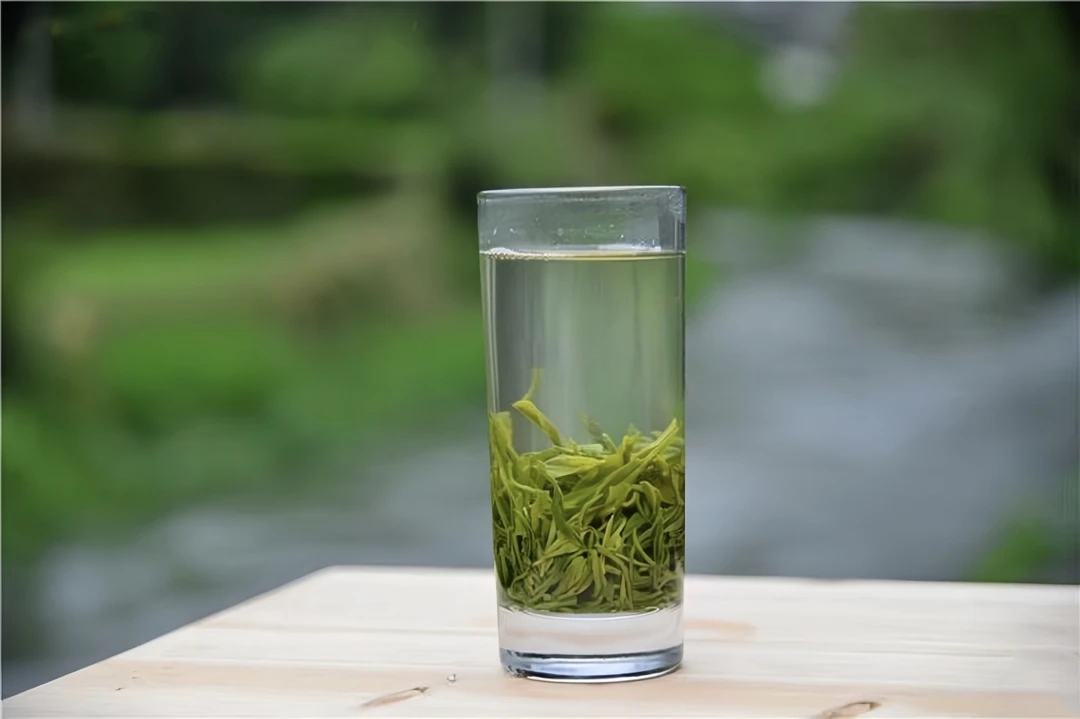 婺源丛林雾春雨茶礼盒装（250克）