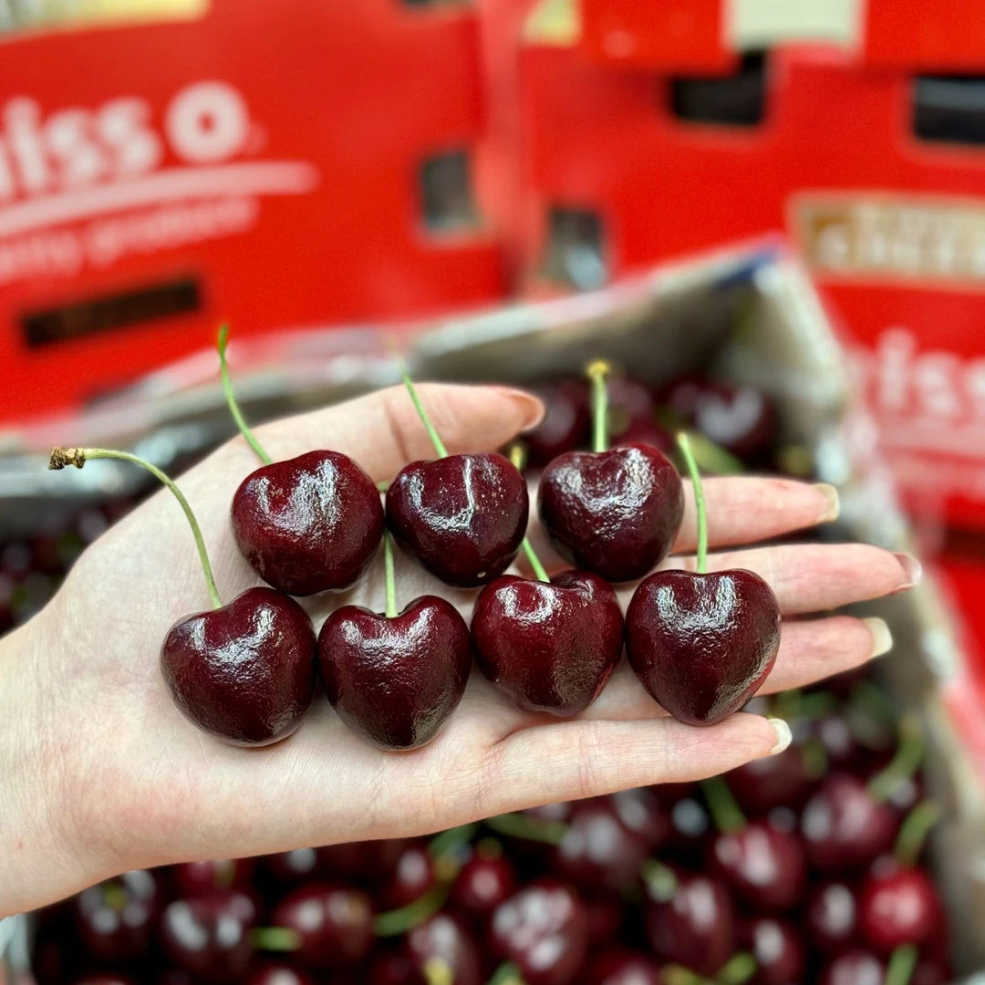 【Labins】misso拉宾斯 海运车厘子 硬脆甜 2JJ原箱5斤