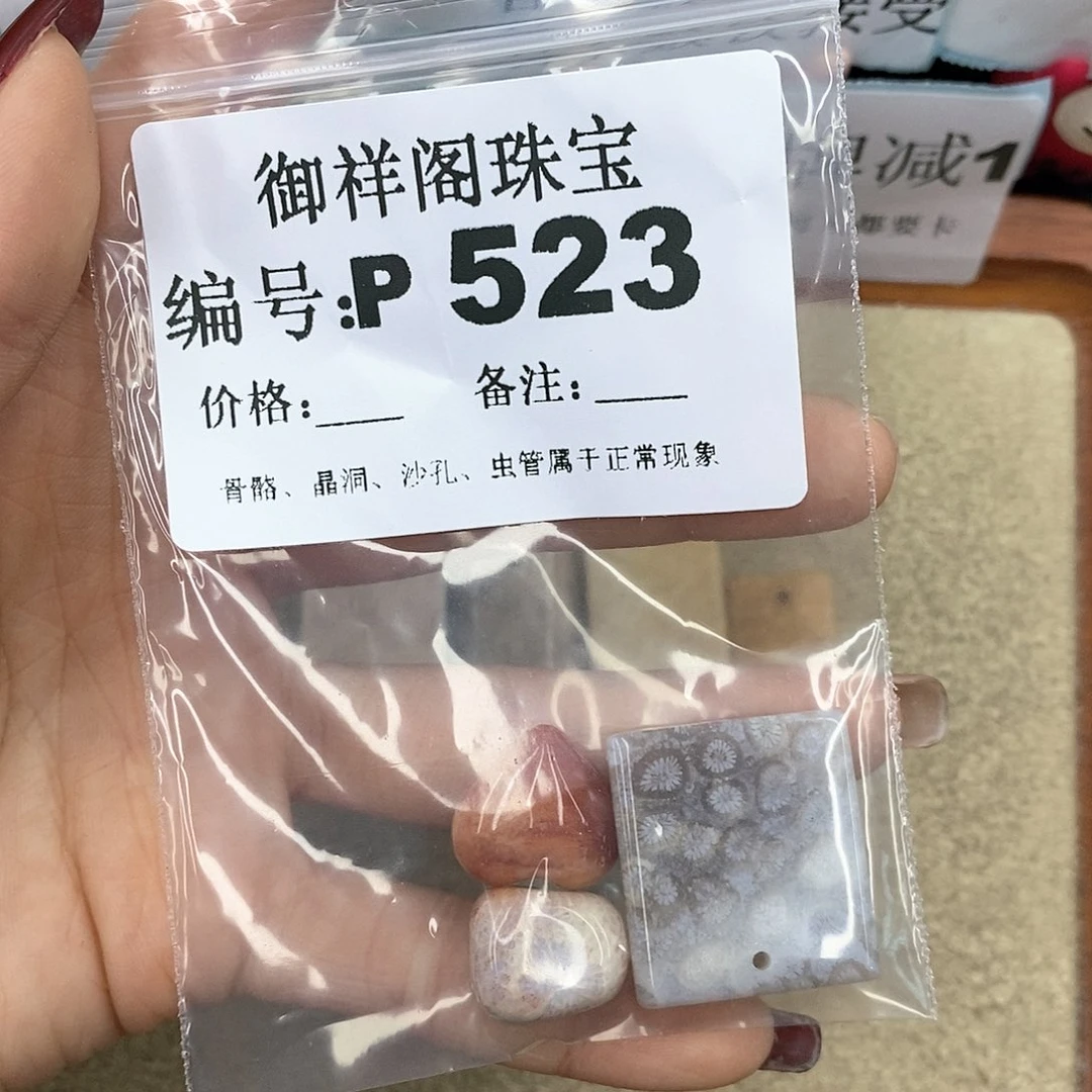 硅化珊瑚（珊瑚玉）P未镶嵌泡**