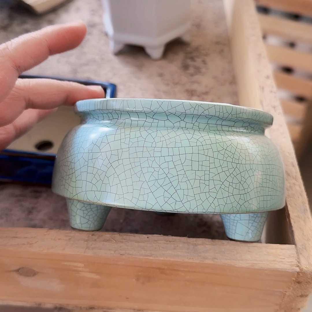 陶瓷花盆特价上新