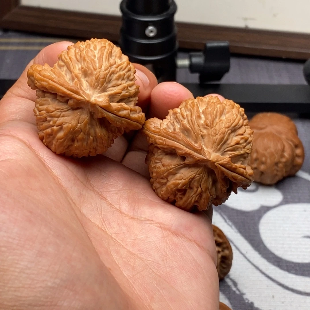 把件文玩核桃全品精配白狮子
