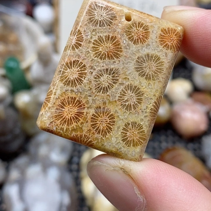 硅化珊瑚（珊瑚玉）未镶嵌颈饰有瑕 小