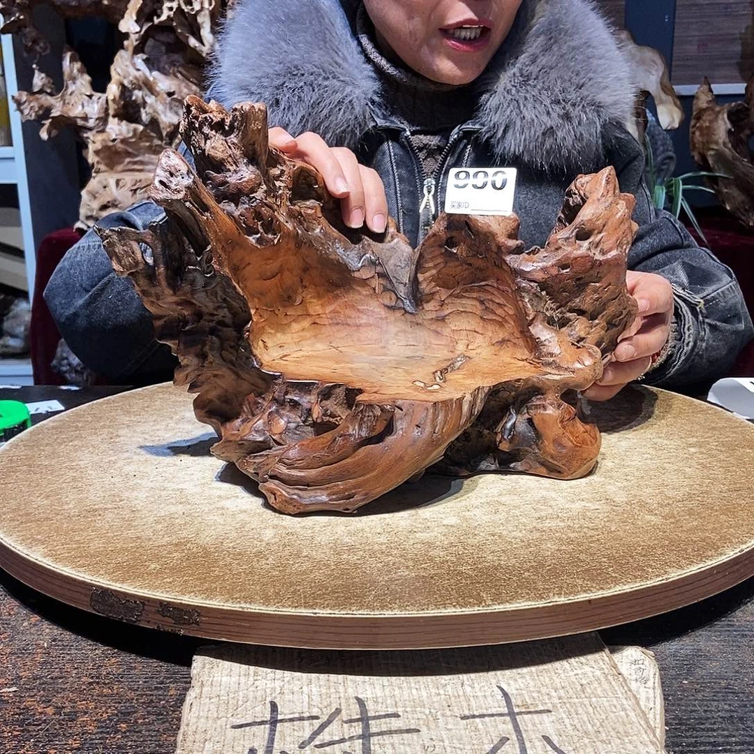 麗***寶990。株木随行根艺