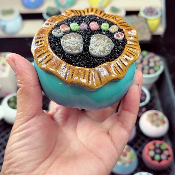 507零下地区记得拍保温箱