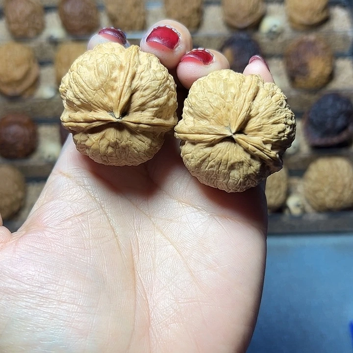 文玩核桃把件29号三楞蚂蚱头36尺