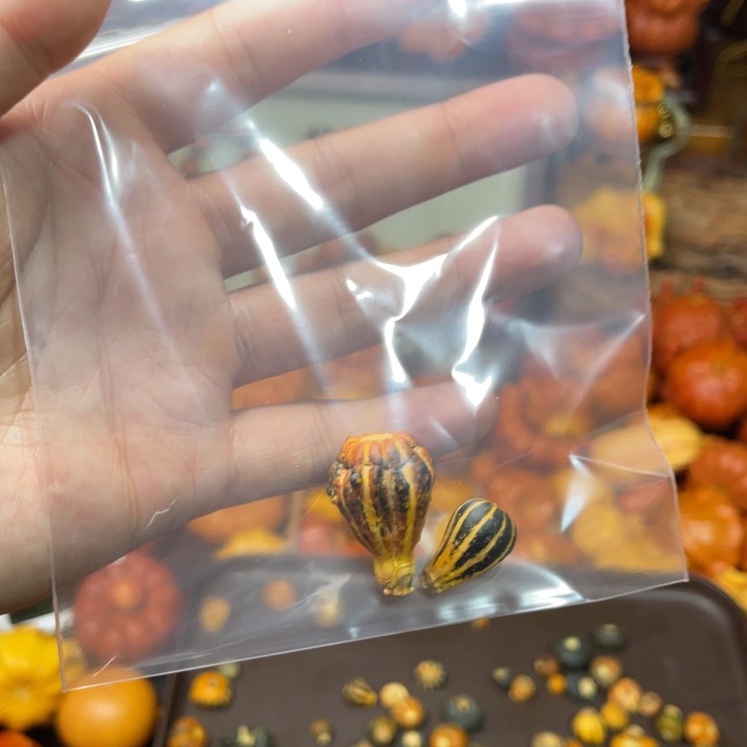 ?***飞哈喽哈喽哈喽哈喽了哈喽哈喽