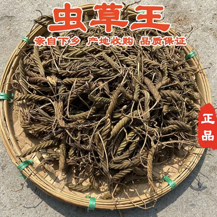 云南土特产【蟲-草-王】精选初级农产品可植物搭配枸杞