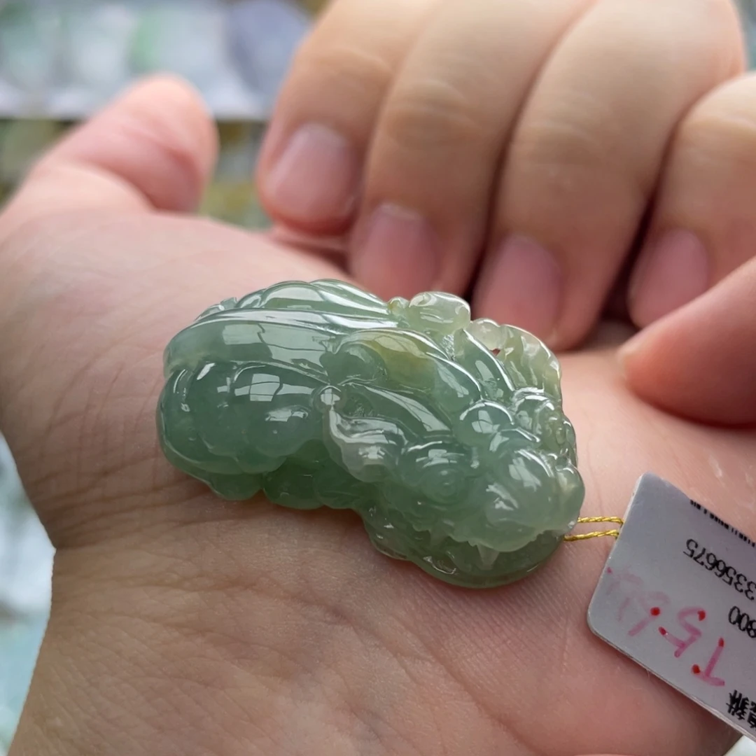 翡翠未镶嵌颈饰貔貅6