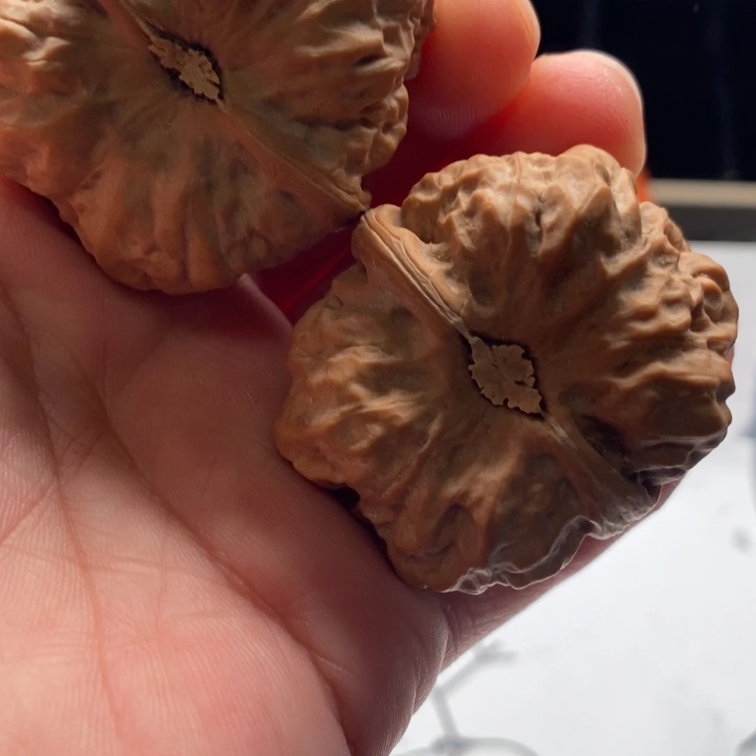 Y****好的我真的是太喜欢