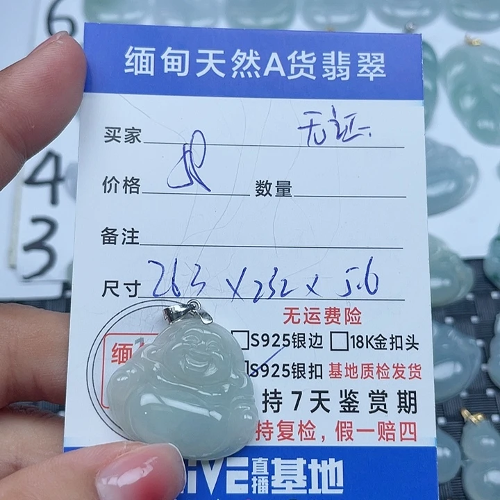 翡翠银S925镶嵌颈饰纯天然缅甸a货翡翠