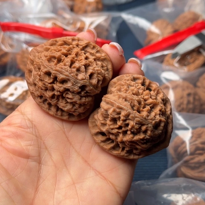 核桃43水龙纹微修