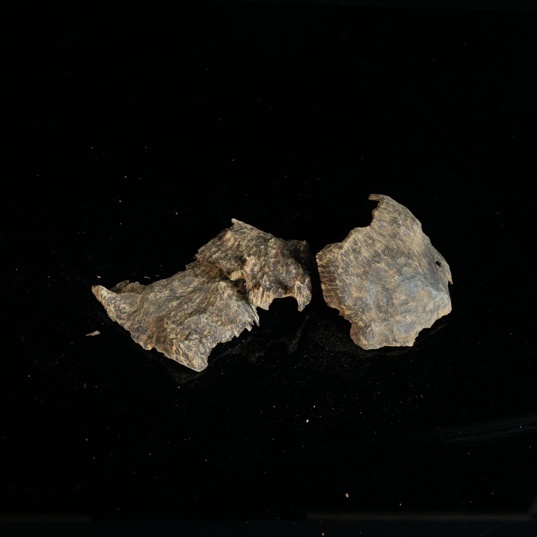 DY-B4133 海南土沉虫漏沉水浮沉香香料 /10g