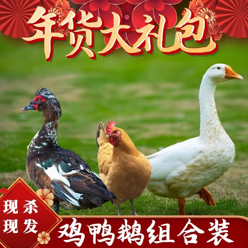 【喜宝家】 1只2斤老母鸡2年+1只4斤番鸭+1只5斤鹅 3只总重11斤