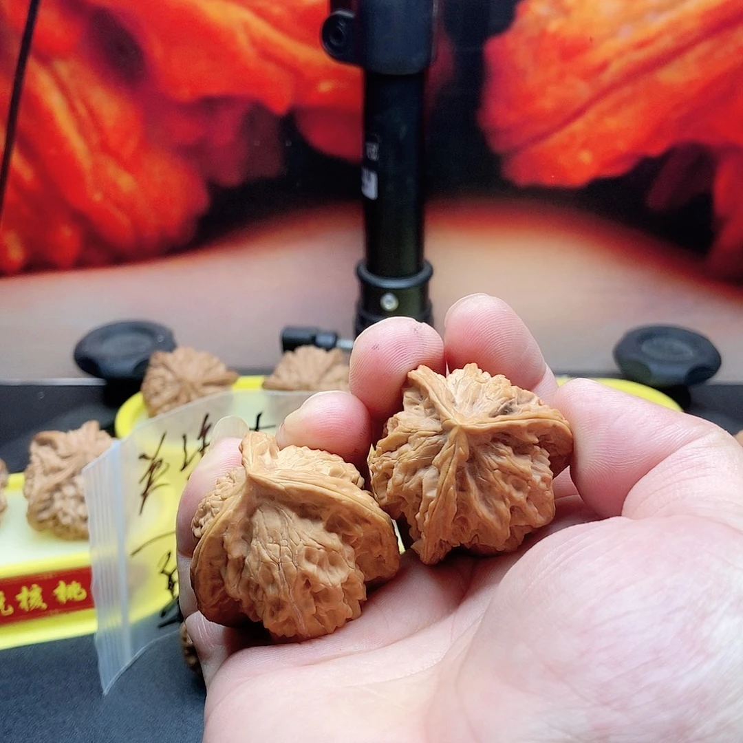 盘山正奔一一一一