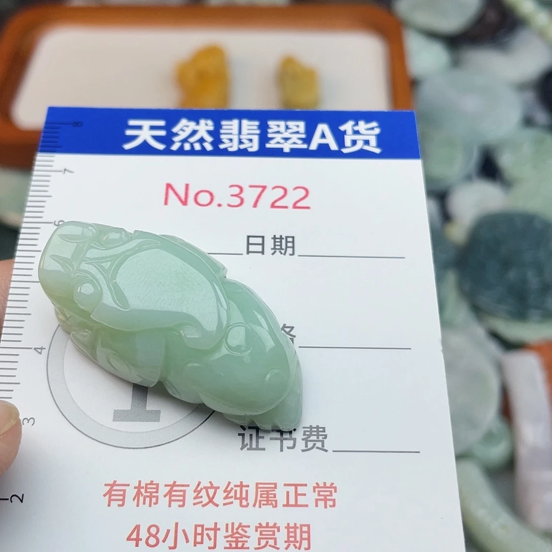 翡翠未镶嵌挂件3722