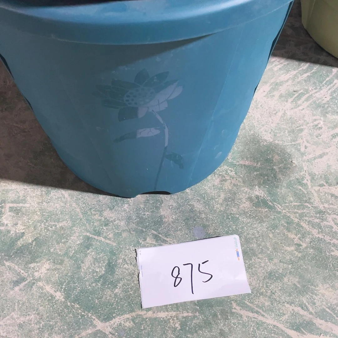编号是875号的875号的