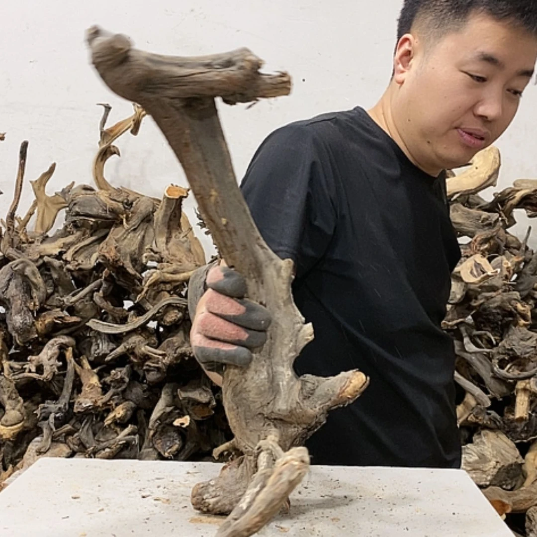 【闪购商品】柏木金*扬我们都是好孩子