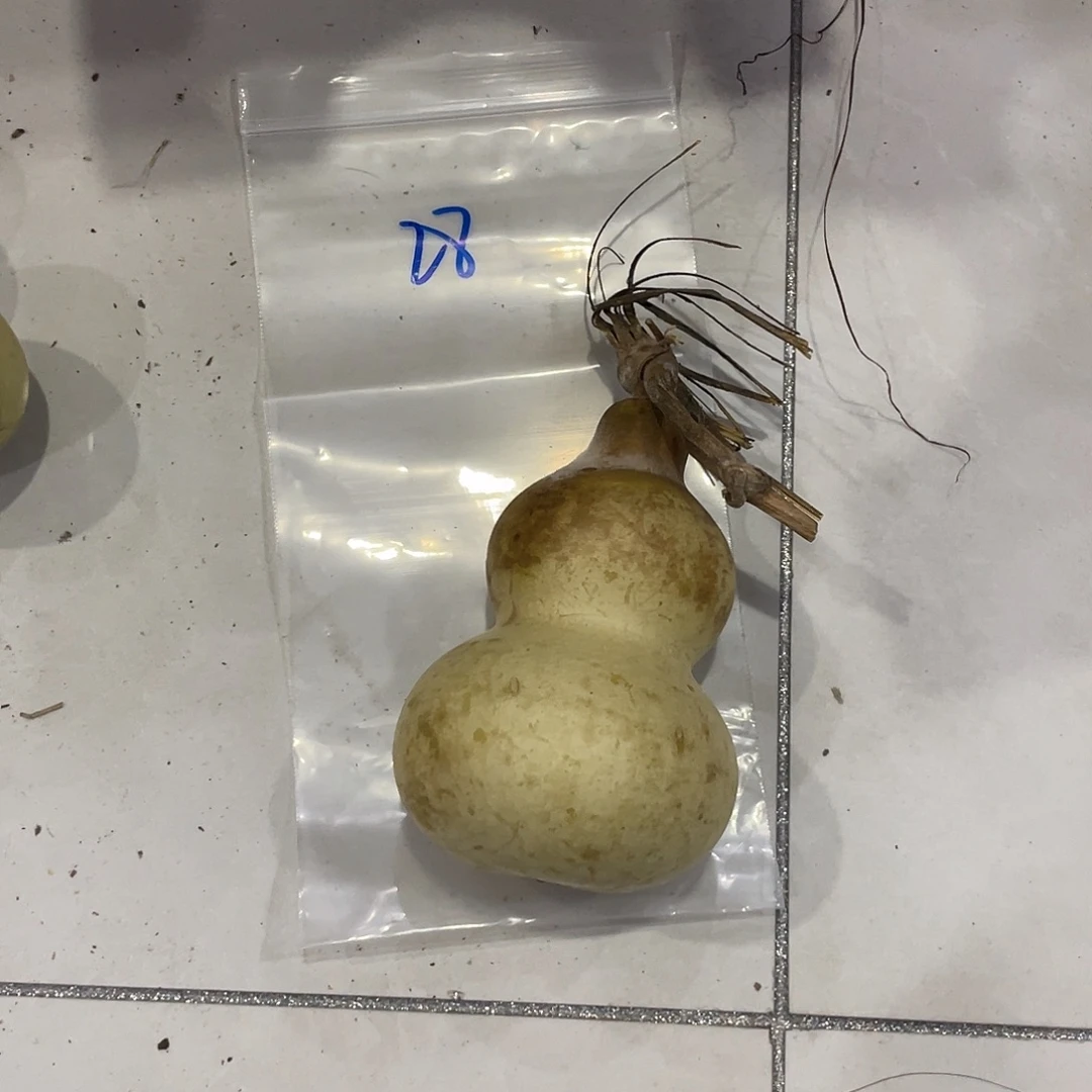 小****他爷爷舞台爷爷我爷爷