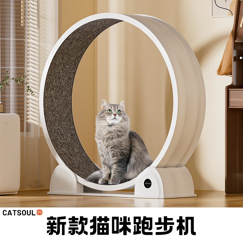 盼四季数显猫咪玩具跑步机时尚前卫猫健身宠物滚轮