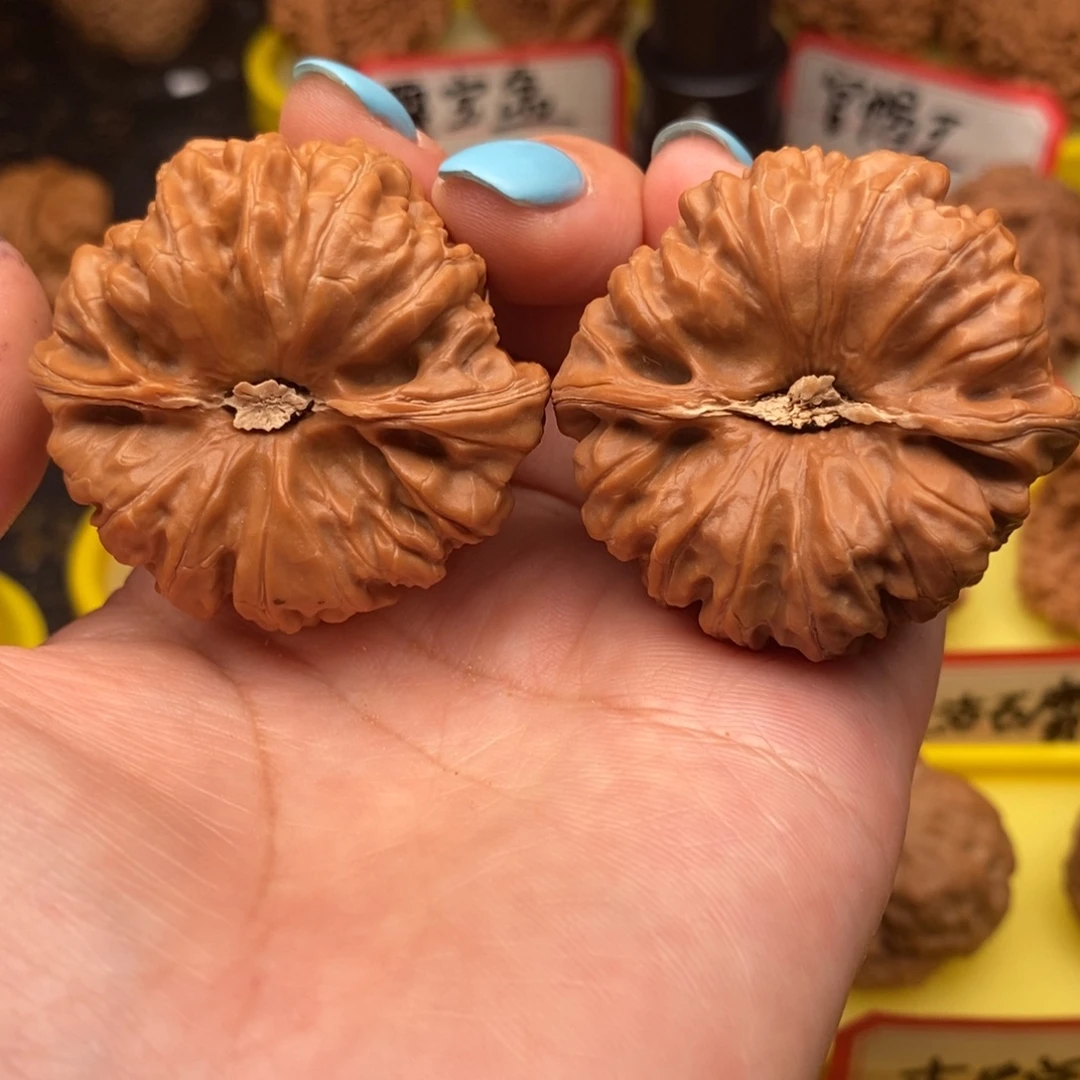 @***@菩提籽类平谷凹底