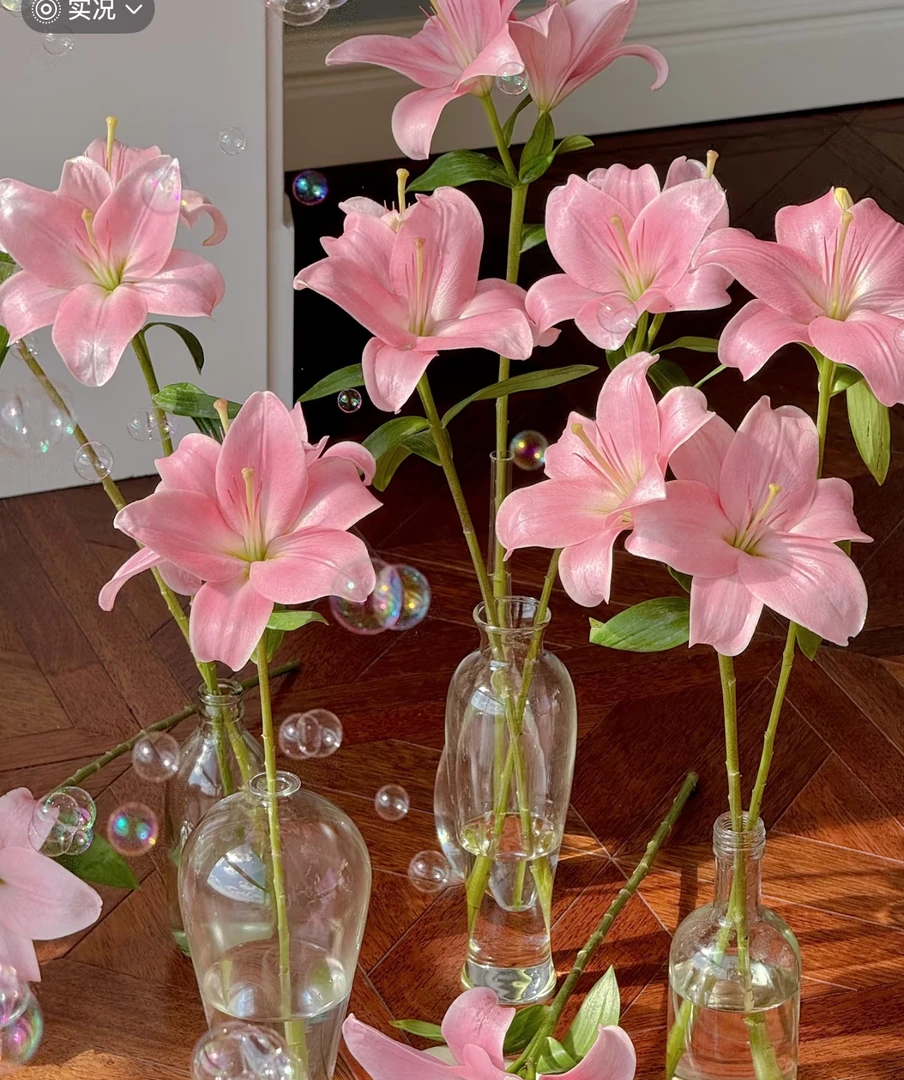 【可爱百合】小粉仙 Lily 可爱百合