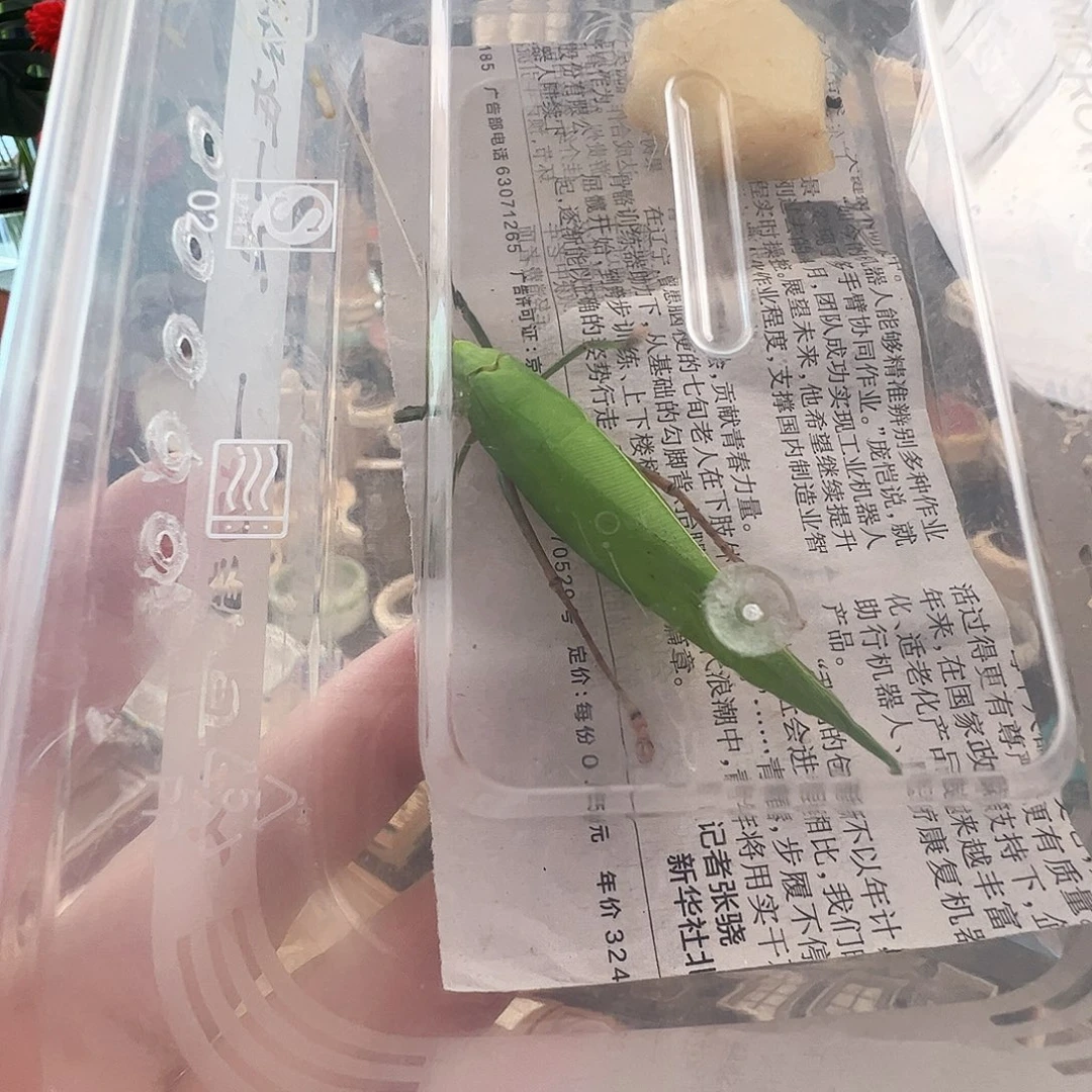 明***天哈哈哈哈哈哈哈哈段须素背一个
