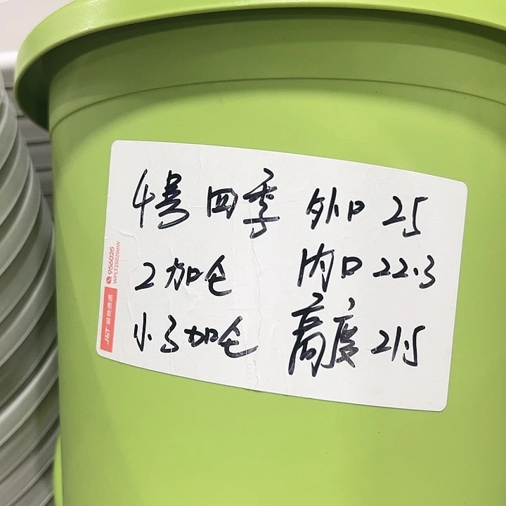 特价4号口25高21.5白色10只无托