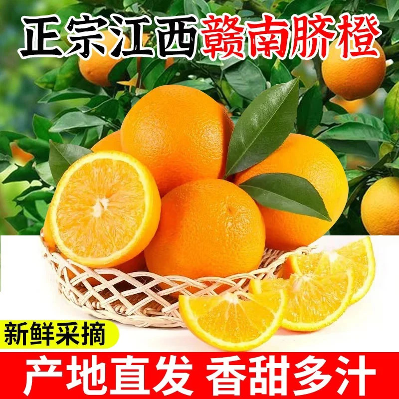 【村房土选专属】赣南脐橙江西橙子10斤正宗精品果